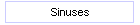 Sinuses